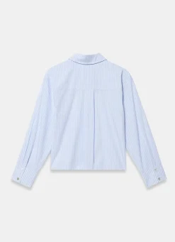 Blue Stripe Embroidered Shirt